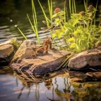 Lesen LED Bilder Bewertungen